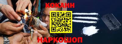 прущие грибы Шахты