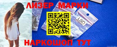 прущие грибы Шахты