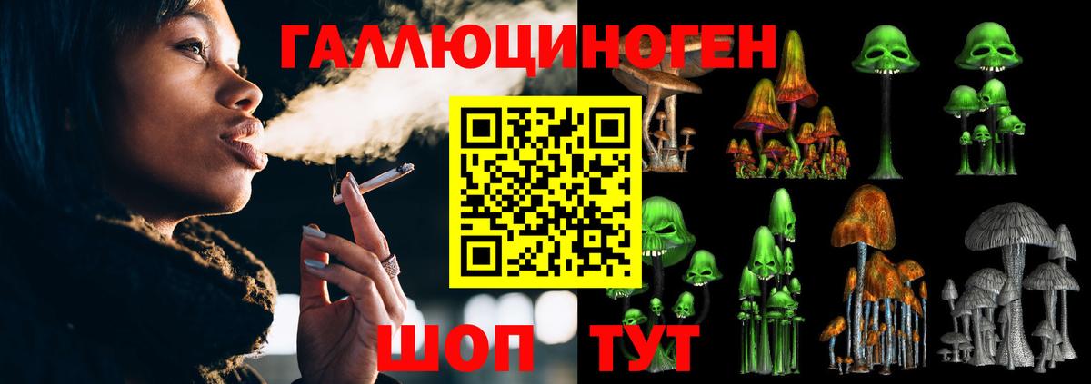 Заинск  Галлюциногенные грибы прущие грибы  Галлюциногенные грибы мицелий  Вход с VPN 